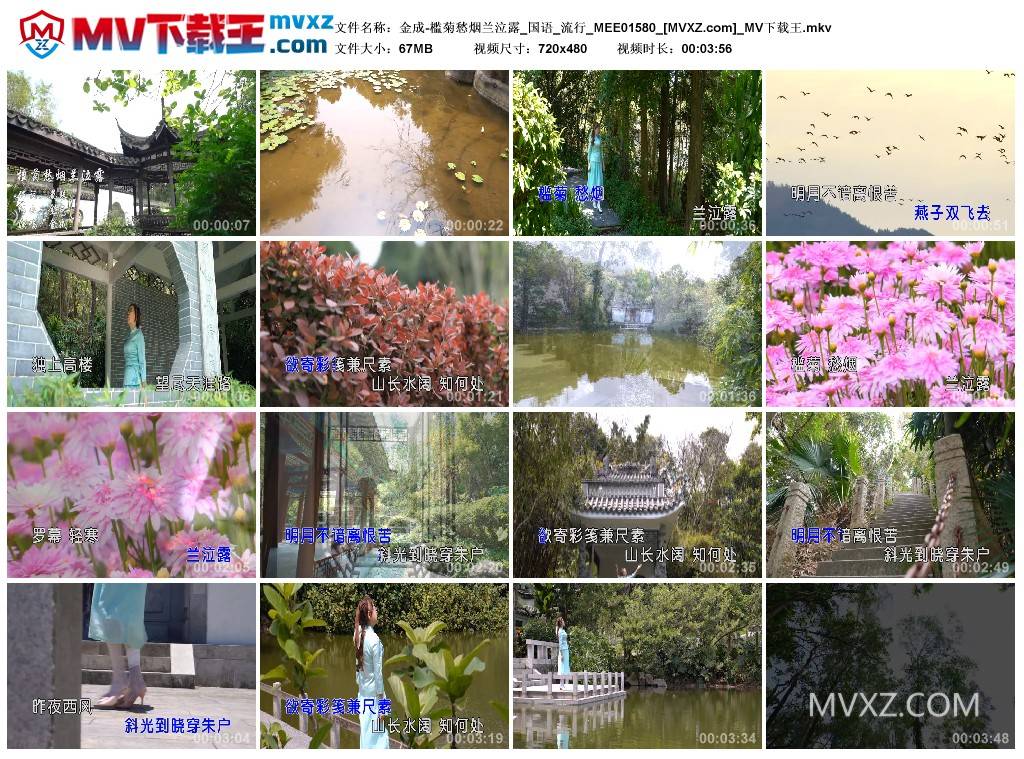 金成-槛菊愁烟兰泣露_国语_流行_MEE01580
